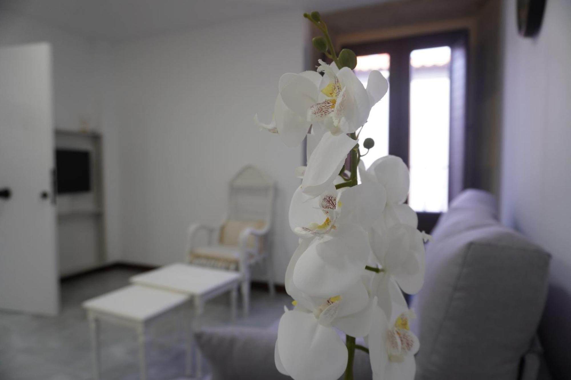 Apartamento Sanin 3 Lumbrales 외부 사진